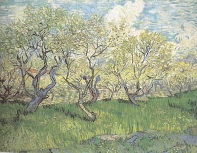 Orchard in Blossom (nn04), Vincent Van Gogh